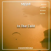 Hamidshax — In The Cold — обложка