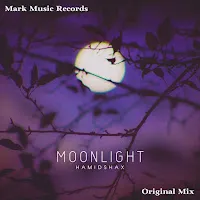 Hamidshax — Moonlight — обложка