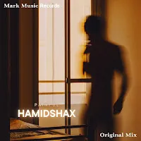 Hamidshax — Painful — обложка