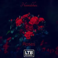 Hamidshax — Roses — обложка