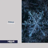 Hamidshax — Snow — обложка