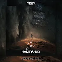 Hamidshax — Storm — обложка