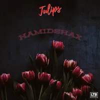 Hamidshax — Tulips — обложка